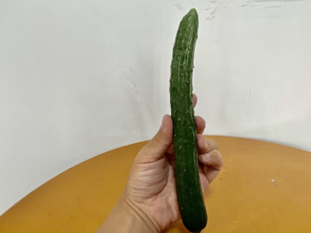大地を守る会　きゅうり　見た目